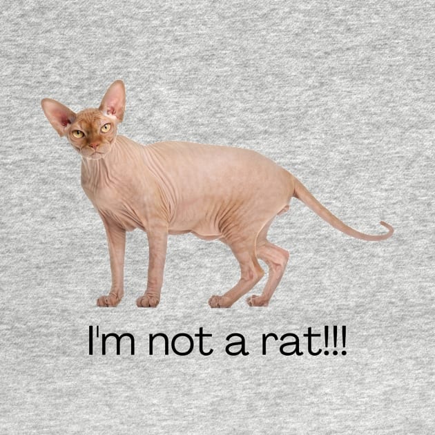 I'm Not a Rat by Pacific West